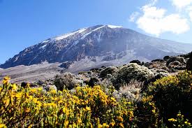 Welcome to Mount Kilimanjaro Shira Route  