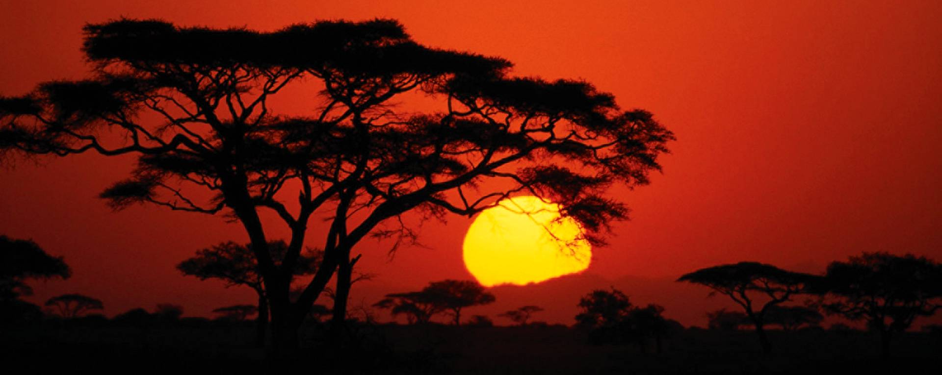 Welcome to Serengeti National Park 